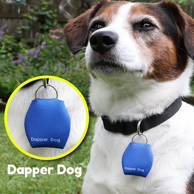 Dapper Dog - Dog Tag Silencer with Tag Ring (Blue)