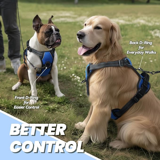 VIVAGLORY No Pull Dog Harness Vest Harness, XL, Royal Blue - Plain | with Handle Front and Back Clip for Training & Pulling, No Pull & Escape Proof Padded Adjustable for Pet Puppy