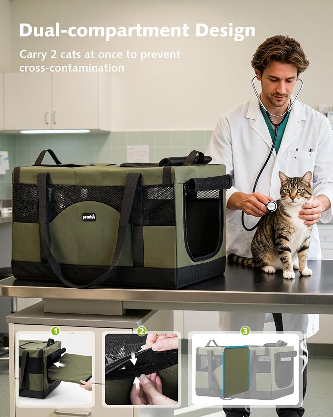 Pecute Large Cat Carrier, Soft Double Pet Crate for 2 Cats Travel, Green | Anti-Collapse Steel Frame, Convertible Dual Space, Foldable, Polyester Breathable mesh, Up to 26 lbs, Car Travel & Vet Visits