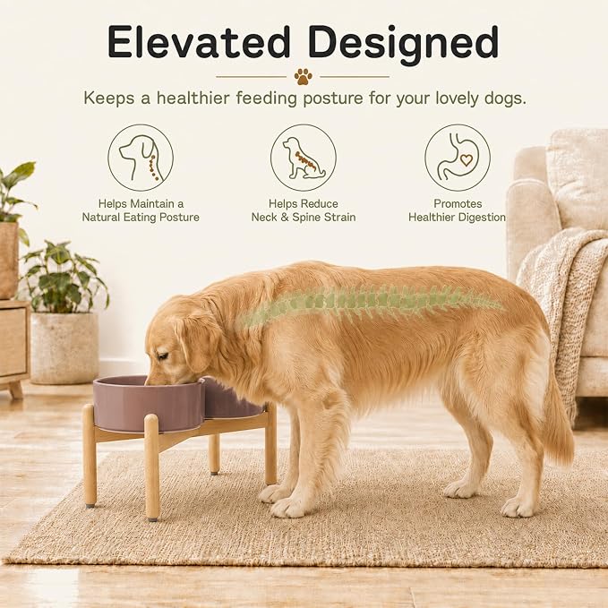 Havniva Ceramic Dog Bowls Elevated, Raised Dog Food Bowl for Large Dogs | 8.3” Elevated Dog Bowls, Non-Slip Wood Stand, Dog Food and Water Bowl Set, Dog Feeding Dish, Large Capacity Pet Water Bowl