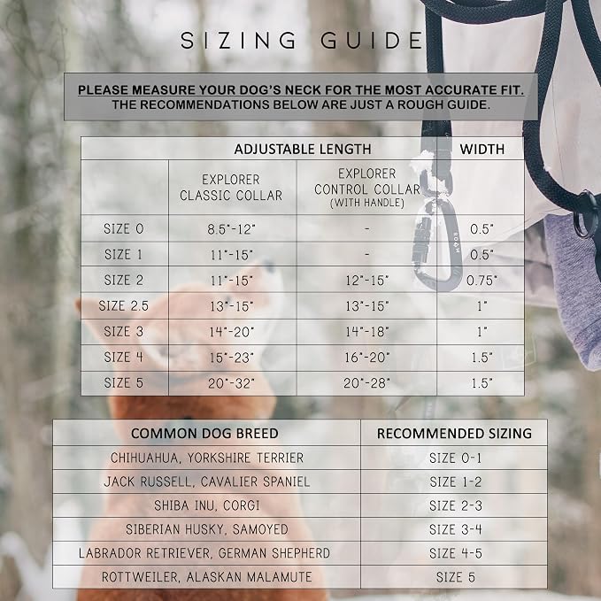 MADE TO ROAM Explorer Dog Collar | Heavy Duty Nylon & Durable Metal Buckle | Premium adjustable collar with rust-resistant hardware. Fits small to large dogs. 15 colors. Matching leash & harness