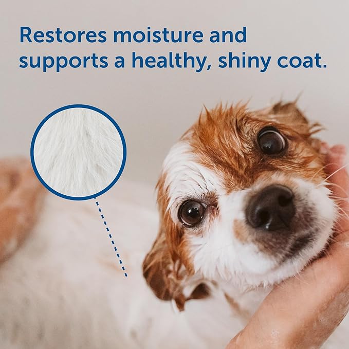 SolaceVet Aloe & Oatmeal Soothing Shampoo 12 oz – Veterinarian Recommended for Sensitive Skin in Dogs & Cats – Hypoallergenic, Soap-Free