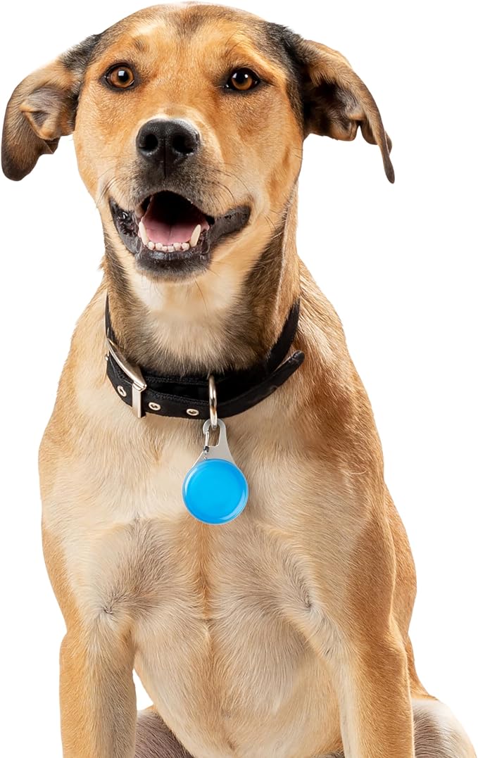 Nite Ize Wearabout Pet Clippable Tracker Holder - Compatible with Apple AirTag - Pet Tracker Keychain & Carabiner Clip - Lightweight Holder with SlideLock Case, Steel Clip & Wire Gate - Blue (2 Pack)
