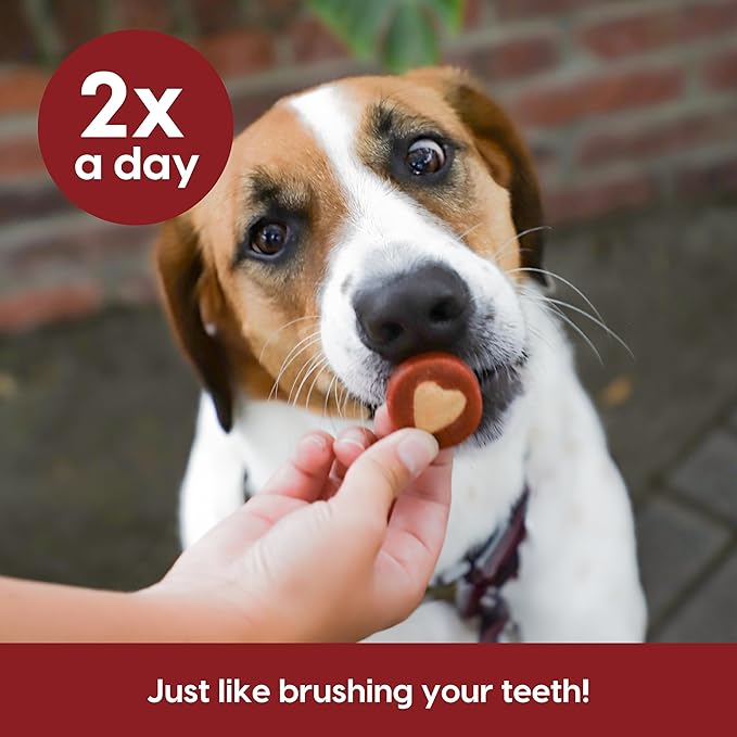 ARK NATURALS Soft Shield Protection+ Brushless Toothpaste, Dog Dental Chews for Large Breeds, Stops Plaque & Tartar, Freshens Breath (Pack of 6)