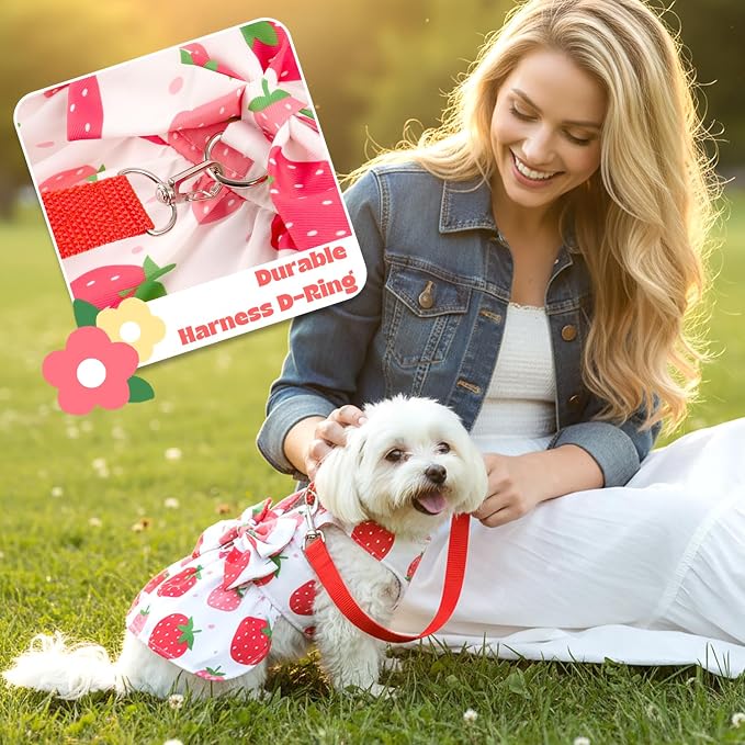 Dog Dress Harness Dresses Leash Set for Small Dogs Cute Girl Dog Clothes with Bowknot Puppy Outfits for Shih Tzu Yorkies Chihuahua