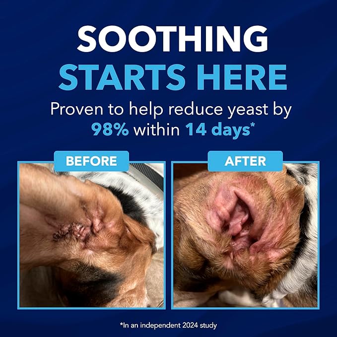 TropiClean OxyMed Enzymatic Dog Ear Cleaner, Treatment for Dogs, Vet Recommended Ear Cleaning Solution, Daily Wash Drops, Safe for Cats, USA Made, 4oz
