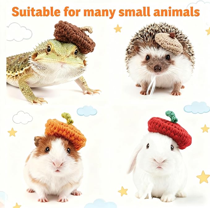 4 Pcs Hamster Hats Mini Party Hats for Small Animals, Cute Hand Knitted Beret Tiny Hats for Snakes Lizards Bearded Dragon Guinea Pig Bunny Reptile Hamster Pet Clothes Holiday Party Costume Accessories