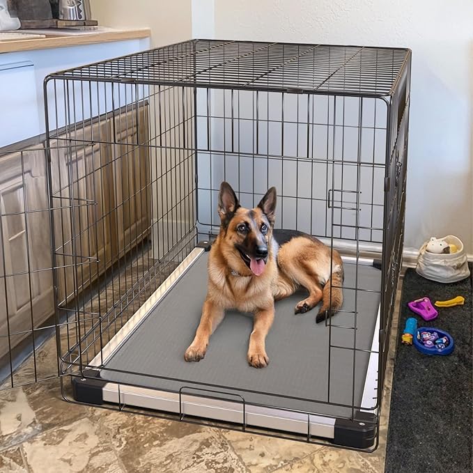 FXW TitanNest Padded Chew-Proof Elevated Dog Bed for Large Dogs | Easy to Clean, Pre-assembly Raised Cot, Indoor/Outdoor/Camping, 47 x 29 x 7.3in