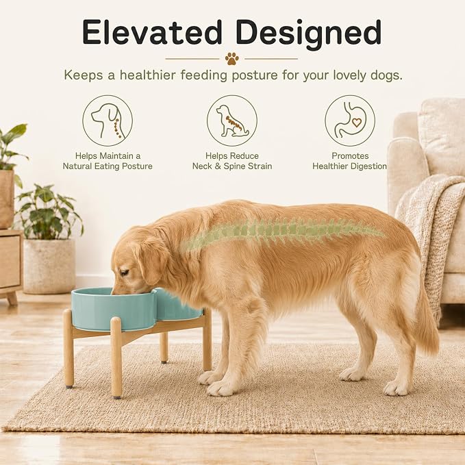 Havniva Ceramic Dog Bowls Elevated, Raised Dog Food Bowl for Large Dogs | 8.3” Elevated Dog Bowls, Non-Slip Wood Stand, Dog Food and Water Bowl Set, Dog Feeding Dish, Large Capacity Pet Water Bowl
