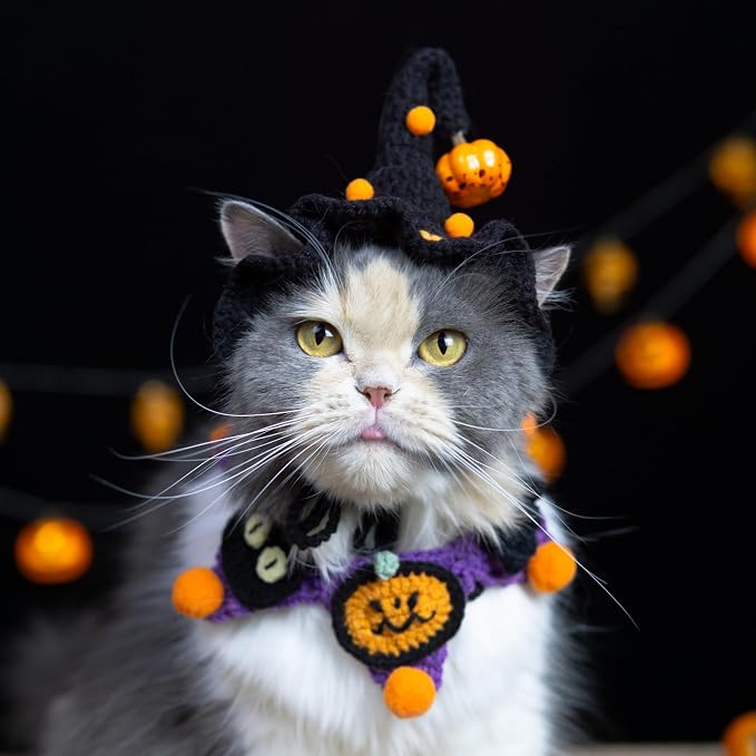 Halloween Dog Costume - Black Witch Hat & Halloween Outfit for Rabbits,Cats and Small Sized Dogs,Handmade Festive Halloween Pet Apparel with Pumpkin Design,Perfect for Dog & Cats
