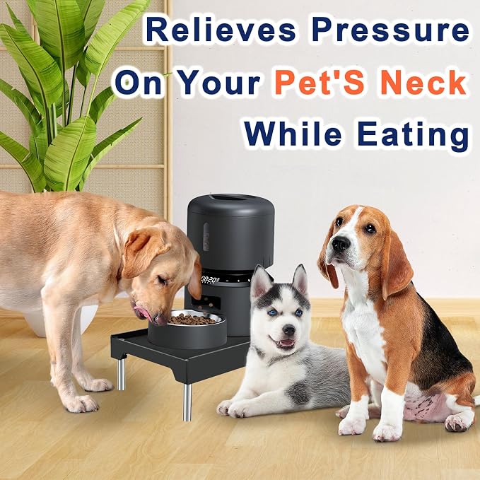 Beautyflier Raised Dog Feeder Stand Elevated Holder for Automatic Cat & Dog Feeders Pet Water Bowl Dispenser Stand Adjustable Fits Small Jugs Holds 5KG, Black (Holder ONLY)