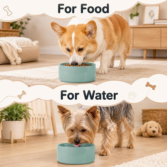Havniva Ceramic Dog Bowls, Dog Food and Water Bowl Set, Dog Water Bowl | 6.1” Ceramic Dog Food Bowls with Non-Slip Rubber Base, Large Capacity, Double Dog Feeding Bowls for Small and Medium Dogs