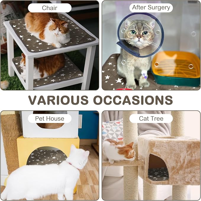 4 Pack Self Warming Cat Bed Self Heating Cat Mat Star Pattern Soft Dog Crate Pad Thermal Pet Mat Anti Slip Kennel Dog Washable Warming Bed for Outdoor Indoor(12 x 12 Inch,Brown)