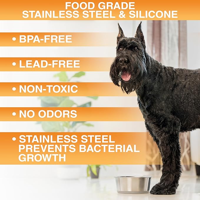 Neater Pet Brands Stainless Steel Dog Bowls with Non-Slip Rubber Bottom – Set of 2, 8 Cup (64 oz), Tan - Heavy Duty Metal Dog Bowl, Dishwasher Safe, Food or Water Bowl, Ideal for Large Dogs