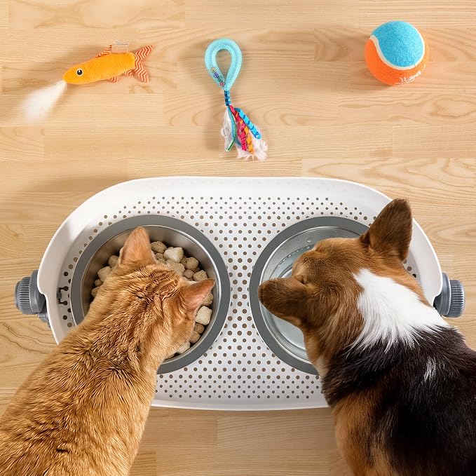 All for Paws Elevated Dog Bowls, Stainless Steel Food & Water Bowls, Height Adjustable Raised Cat Feeder Mess Proof Pet Feeding Bowls for Small to Large Size Dogs