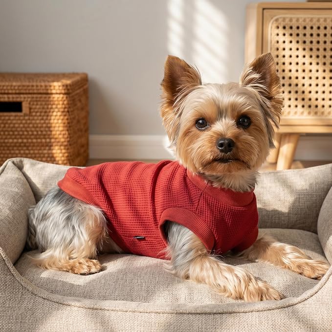 1 Pack Dog Shirt for Small Supplies Functional Waffle Dog Clothes Warm Soft Sweatshirt Outfit for Dogs Cats Pet Apparel
