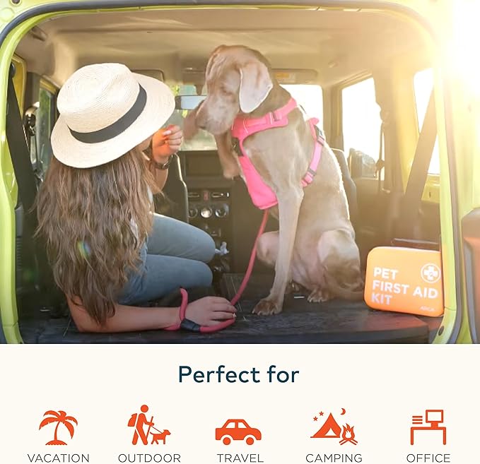 ARCA PET Cat & Dog First Aid Kit for Car - Pet Emergency Kit for Home Office Travel – Dog Camping Essentials with Digital Thermometer, Muzzle & Mini First Aid Pouch (Pack of 2)