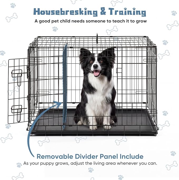 DUMOS 36 Inch Dog Crate, Puppy Small Medium Foldable Dog Cage Pet Kennel | Double Door Metal Wire, Plastic Leak-Proof Pan Tray, Portable Indoor Outdoor Training Travel
