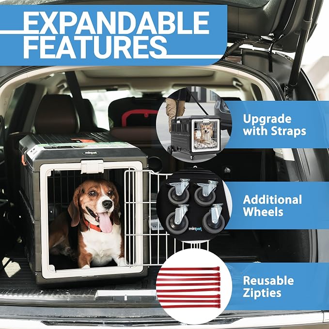 Collapsible Pet Carrier for Small Cats & Dogs, 21.5"L x 12"W x 14"H | Hard-Sided Crate Walls, 360-Degree Ventilation, Tool-Free Snap Assembly, Folds Flat to 5.5 In, for Travel & Storage