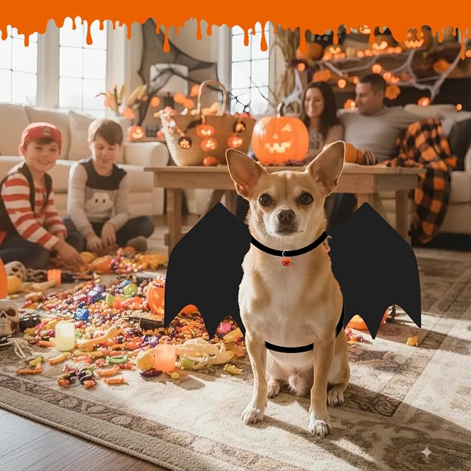 OLANRUN Cat Halloween Costume, Small Dog Halloween Costumes - Bat Wing with Pumpkin Bell for Pet Halloween Cosplay Party Dress Up Accessories (Large)