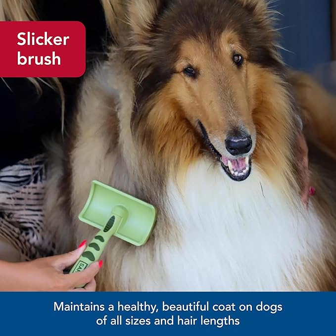 Coastal Pet - Safari - Curved Firm Slicker Brush with Coated Tips for Long Hair, No Color, Medium (6.5" L x 4.0625" W)