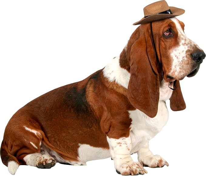 Rubies Cowboy Pet Hat for Dogs or Cats, S/M