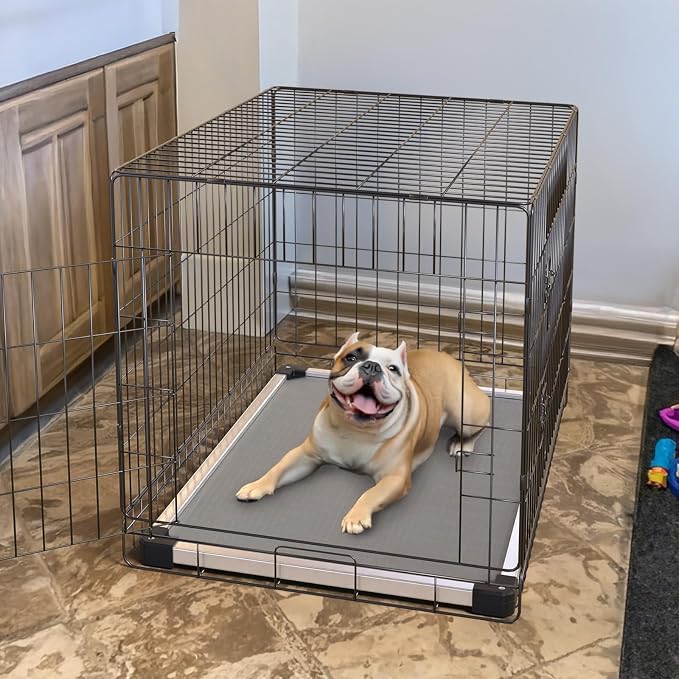 FXW TitanNest Padded Chew-Proof Elevated Dog Bed for Small Dogs | Easy to Clean, Pre-assembly Raised Cot, Indoor/Outdoor/Camping, 35 x 22 x 4.5in