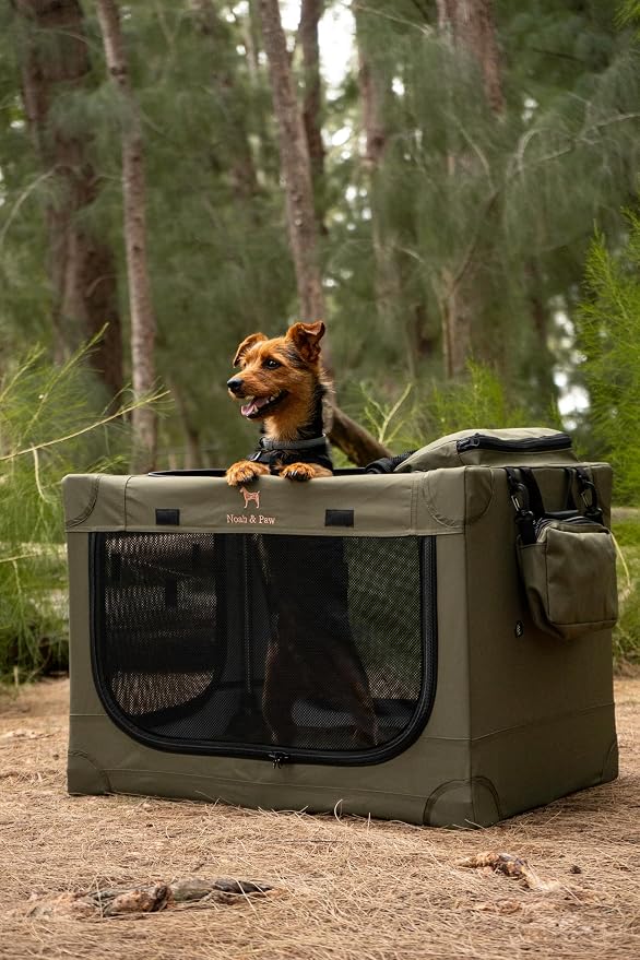 Noah & Paw Collapsible Dog Crate 42 Inch, XXL Dog Crate for XXL, XL, Large Breeds, Travel Kennel for Car, Includes Pet Mat for Pet Cage, 2 Storage Pockets, Handbag, 10mm Locking Zippers 42 * 31 * 31