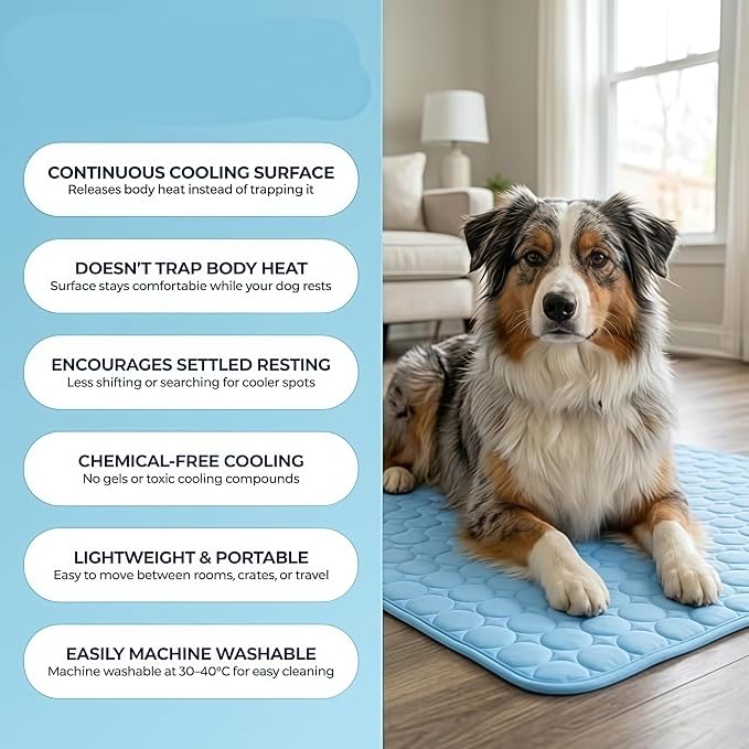Pet Cooling Mat, ICY nap Dog mat, Portable Washable Ice Silk Cooling Pad for Dogs Cats, Breathable Foldable Mat for Large Small Dogs, Summer Cool Mat for Kennel Floor Car Sofa(Gray,Large)