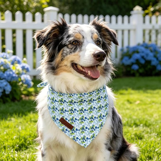 Blueberry Dog Bandana, Spring Summer Blueberry with Bowtie Puppy Bandana for Girl Female Dogs, Soft Cotton Pet Triangle Bid Scarf Kerchief for Girl Boy Dogs or Cats