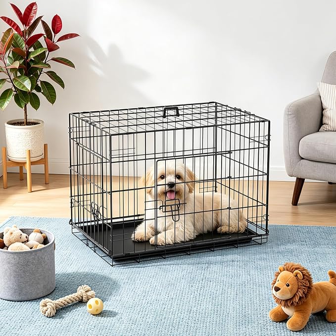 FDW | 24" Foldable Metal Dog Crate | Black | Cage for Small Dogs | Heavy Duty, Portable Wire Kennel with Double Door, Divider & Leak-Proof Tray | For Training, Home, Travel Indoor/Outdoor Use