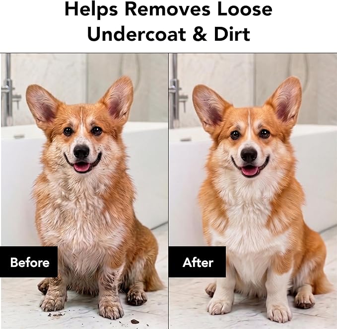 Pride and Groom The Shedder | Dog Deshedding Shampoo | All Natural Body Wash with Essential Oils & Ingredients that Reduce Pet Shedding & Fur Dander for Curly and Wavy Coats – 128oz