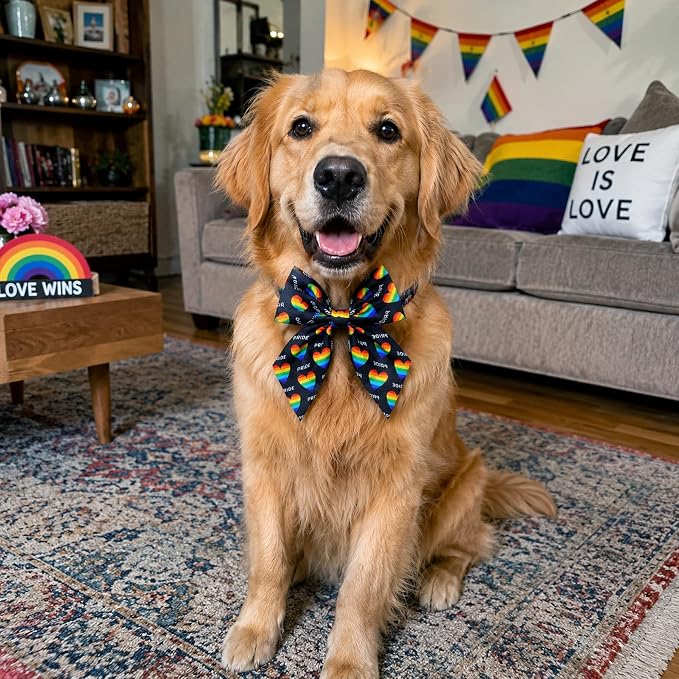 PET SHOW 10 Pack Pride Month Sailor Dog Bowties for Large Dogs