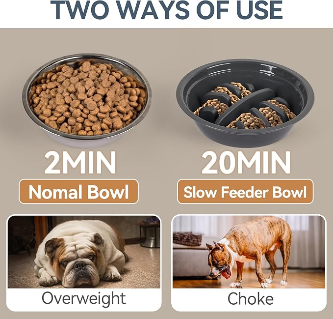 PAWISE Elevated Dog Bowls, 5 Height Adjustable Raised Dog Bowl Stand with 1 Slow Feeder Bowl & 2 Stainless Steel Bowls, Non-Slip Dog Feeding Station for Large, Medium, Small Dogs and Cats, Black