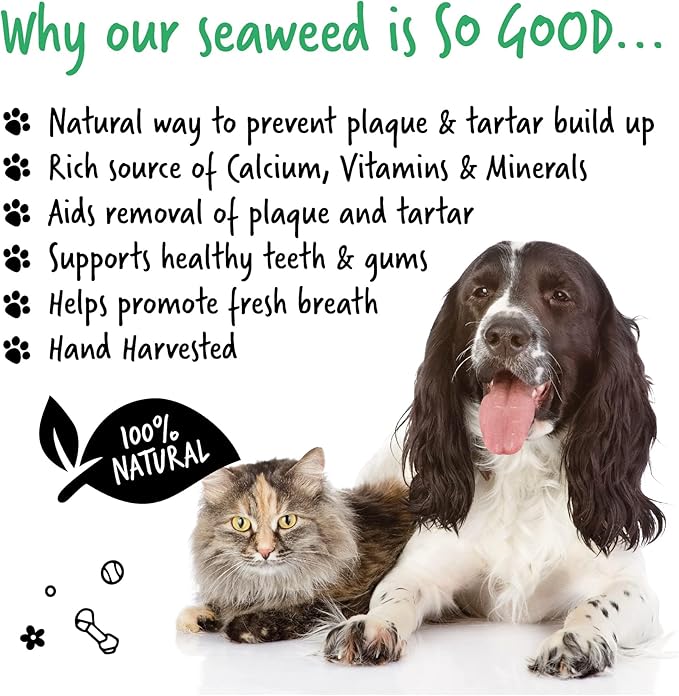 Plaque Off Remover For Dog 70g Teeth Bad Breath 100% Natural | Plaque Off Dogs No Need For Dog Toothbrush or Dog Toothpaste | Remove Dog Bad Breath Plaque Remover For Dogs Cats (70g)