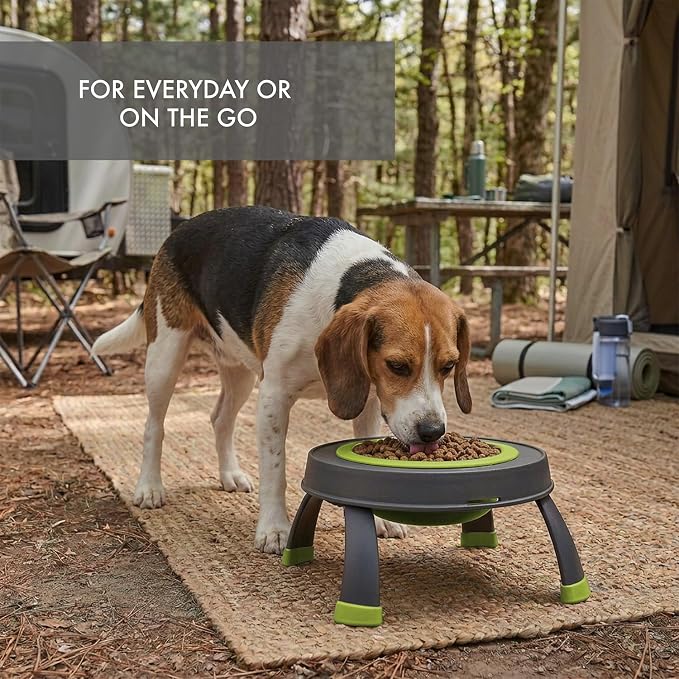Dexas Pets Elevated Pet Feeder, Large, 4 Cup Capacity, Green, Raised Pet Food and Water Bowl
