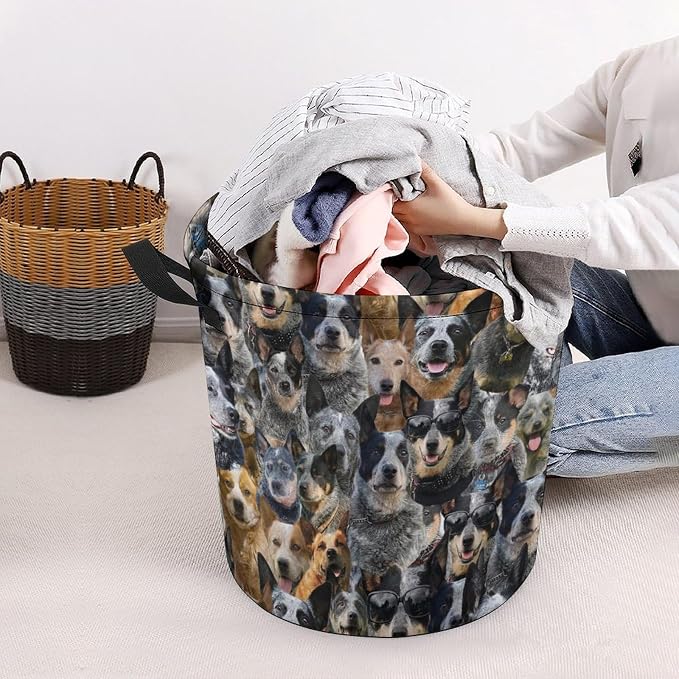 Australian Cattle Dog Print Laundry Basket, Funny Pet Dog Laundry Hamper, Collapsible Organizer Basket Storage Bin for Bedroom Clothes, Gifts for Australian Cattle Dog Dog Mom Dog Lover Owner