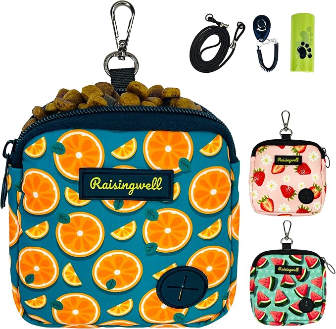 Raisingwell Dog Treat Pouch for Pet Walking and Training with Clicker Poop Bags Small Fanny Zipper Pack Holder for Puppy Snack Dispenser Kit for Leash and Outdoor Use (Fruit Orange)