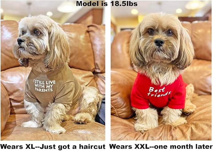 Cute Dog Clothes T Shirt for Medium Dog and Small Dogs Girl Boy,Puppy.Breathable Soft Dog Costume for Pet Dogs Cats, Pet Pullover Jumper, Cat Clothes (XL-(16~20lb), Chest~20", Khaki)