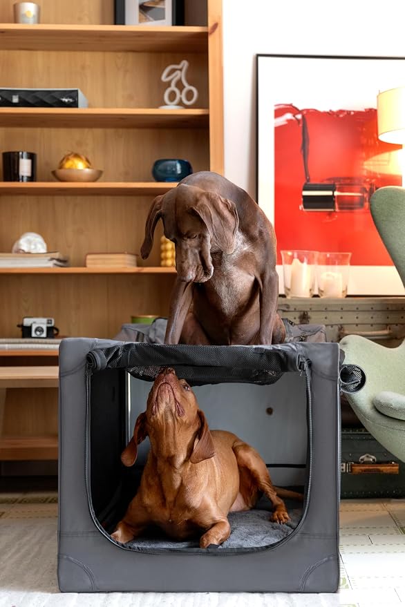 Noah & Paw Collapsible Dog Crate 36 Inches, XL Dog Crate for XL, Large Medium Breed, Travel Kennel for Car, Includes Pet Mat for Pet Cage, 2 Storage Pockets, Handbag, 10mm Locking Zippers 36*25*23