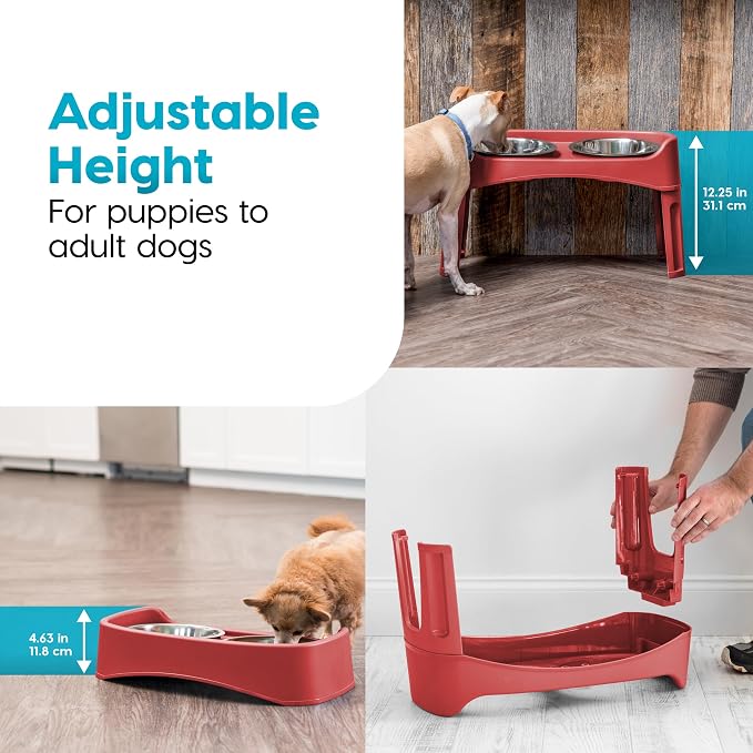 IRIS USA Elevated Dog Bowls, Dual Height 4.63" or 12.25" Made in USA, Black | Includes 2 Stainless Steel Bowls (64oz), Spill Guard, Height Adjustable, Non-Slip Feeder, Helps Reduce Neck Strain