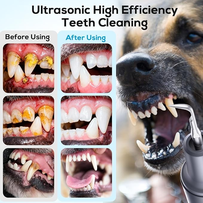 Pet Ultrasonic Dental Cleaner, Plaque and Tartar Remover, Teeth Cleaning Kit for Dogs and Cats