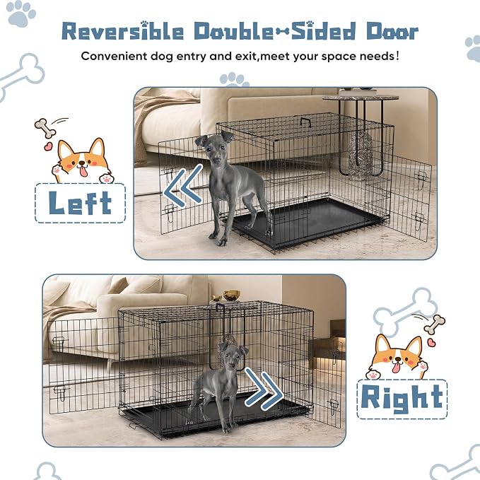 DUMOS 48 Inch Dog Crate, Puppy Small Medium Foldable Dog Cage Pet Kennel | Double Door Metal Wire, Plastic Leak-Proof Pan Tray, Portable Indoor Outdoor Training Travel