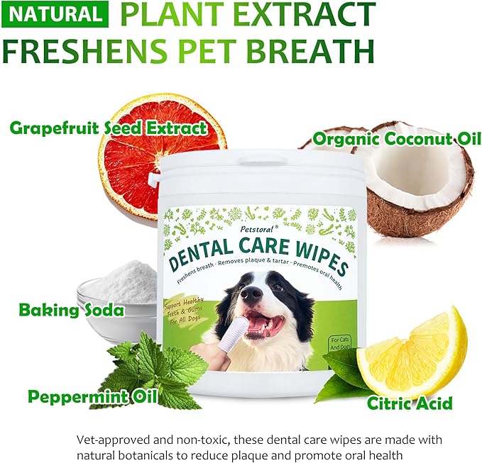Petstoral Dental Cleaning Kit, Dental Care Wipes to Clean Plaque on The Surface of The Teeth, Beef Liver Flavour Dental Powder with Probiotic to Solve Oral Problems from The Inside of Digestion