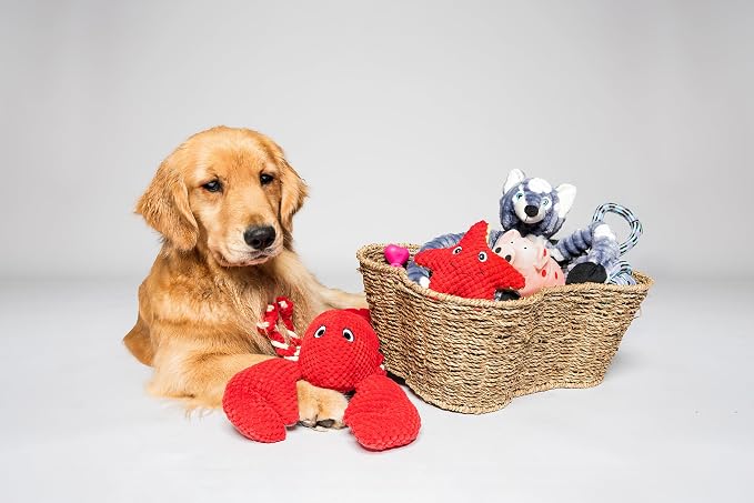 OtterPets Dog Toy Basket, Seagrass Bone Shaped Dog Toy Bin, 17x13” | Handmade dog toy box, dog toy storage, dog basket, basket for dog toys, dog storage, 17 x 13 in