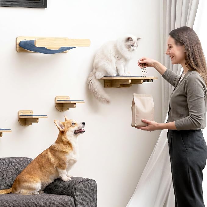 Cat Wall Shelves - Wall Mounted Cat Shelves with Feeding Station | Solid Pinewood, Gray Carpet, Supports Up to 33 lbs, Stainless Bowls, Dog-proof, Lounging, Climbing
