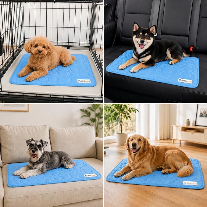 Doggykingdom Cooling Mat for Dogs – Ice Silk Self-Cooling Pet Pad for Dogs & Cats, Breathable Washable Cooling Pad for Crate, Kennel, Car & Floor, Summer Sleeping Mat, No Water Needed, Blue, Small