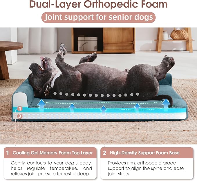 Gel Memory & High-Density Foam Orthopedic Dog Bed 35x27x6 Medium | | Double Waterproof Cover | Machine Washable | Non-Slip Base | Fur-Resistant Tech Fabric