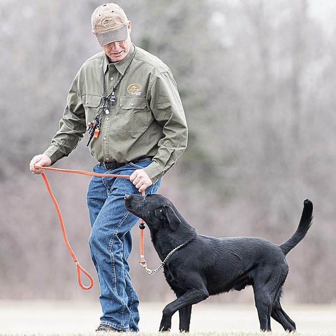 SportDOG Roy Gonia Special Whistle - Long-Range Projection Hunting Dog Field Training Whistle - Ear-Friendly & Ergonomic Design - Durable Plastic Construction (Pack of 12)