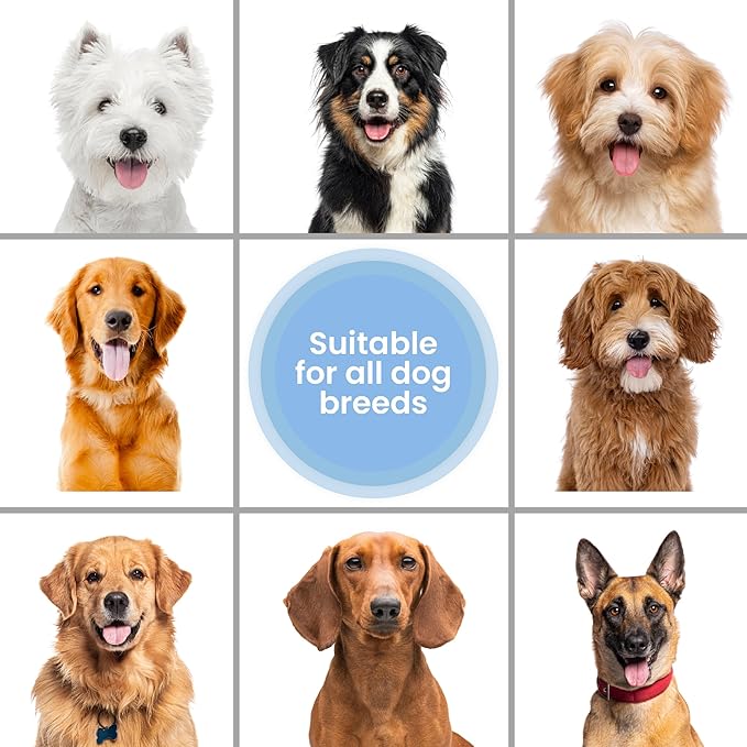 Hypoallergenic Dog Shampoo, Conditioner, and Detangler | Made in USA | Eco-Friendly Ingredients | Shampoo for Dogs with Sensitive Skin & Allergies | 16 OZ [We Love Doodles]